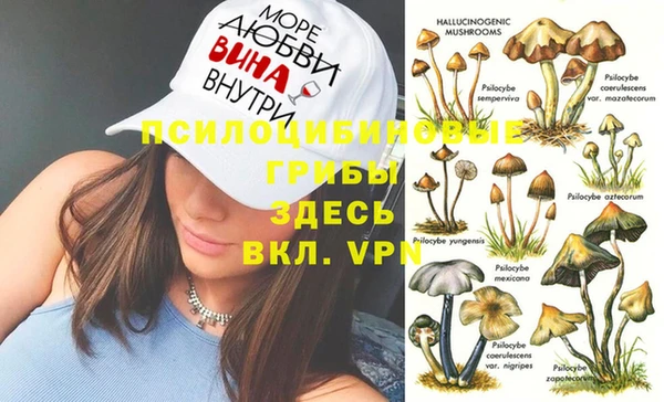 mdpv Аркадак
